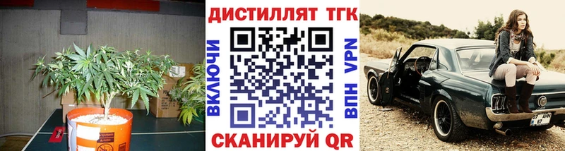 Дистиллят ТГК Wax Кстово