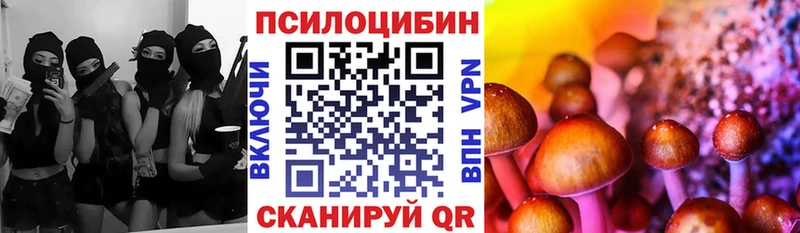 Галлюциногенные грибы Cubensis  Кстово 